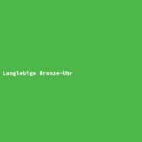 Langlebige Bronze-Uhr